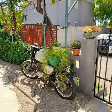 Kotulin * Pakoštane