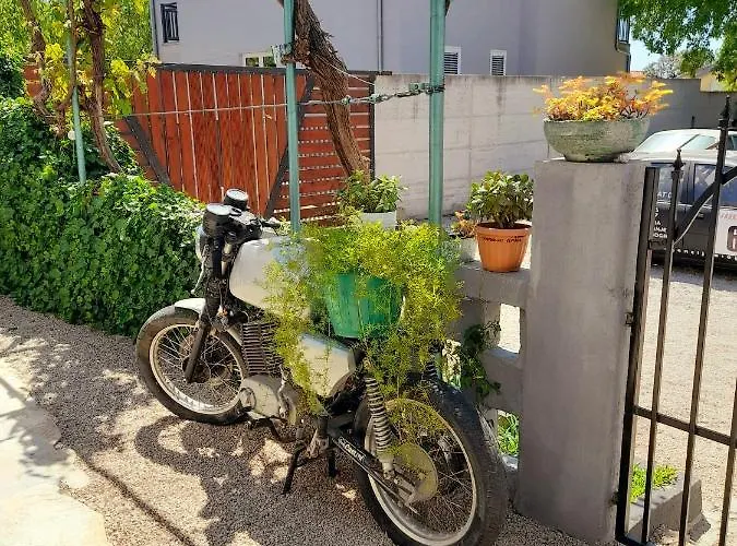 Kotulin * Pakoštane